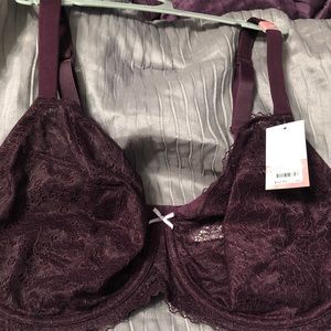 Cacique Intimates & Sleepwear - Cacique Bra Cacique Intimates & Sleepwear - Cacique Bra